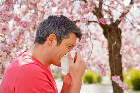 کاهش علایم آلرژی در بهار با توصیه های طب سنتی
