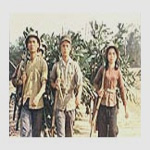 دور از ویتنام