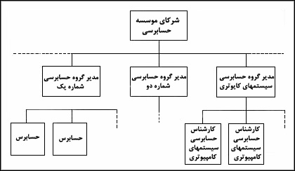 روش سازماندهى متمرکز کارشناسان حسابرسى سيستمهاى کامپيوترى