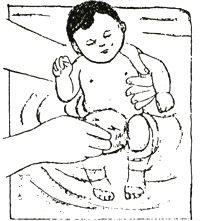 شکل ل