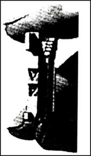 ماتريسها (شکل بزرگ شده يک حرف ماتريس)