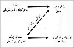 مرحلهٔ اول مربوط به يادگيرى معنى