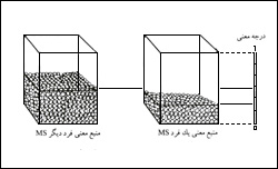 حجم معانى افراد با يکديگر متفاوت است. (منبع معنى يک فرد MS ، منبع معنى فرد ديگر MS)