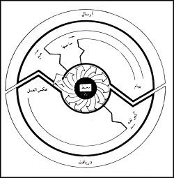 مدل ۲. قسمت دوم مدل آندروش