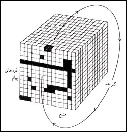 مدل بکر