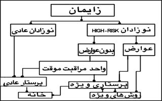 نمودار مراقبت از نوزاد