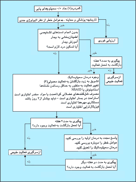 درمان کمردرد: چهار هفته اول: ۱. بالغين کمتر يا مساوى ۱۸ سال سن، سمپتومهاى کمتر از ۳ ماه، ۲. حذف کارگرانى که کار سنگين انجام مىدهند.