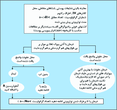 الگوريتم تشخيص و درمان بيمارن نوتروپنيک تبدار