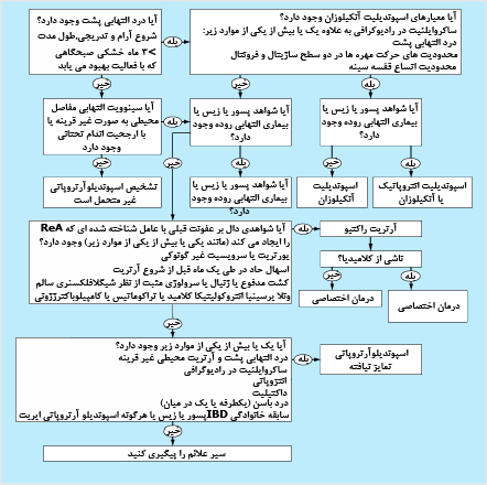 الگوريتم تشخيص اسپونديلوآرتروپاتىها