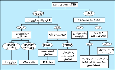 ارزيابى هيپوتيروئيدي. +TPOAb = وجود آنتىبادىهاى پراکسيداز تيروئيد. -TPOAb = نبود آنتىبادىهاى پراکسيداز تيروئيد.