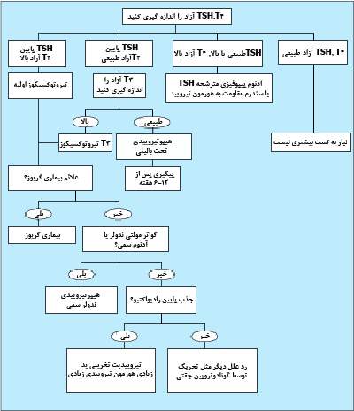 ارزيابى تيروتوکسيکوز. 1. گواتر منتشر، آنتىبادى TPO مثبت، افتالموپاتي، درموپاتي. 2. مىتواند با اسکن راديوتوکلئيد تأييد شود.