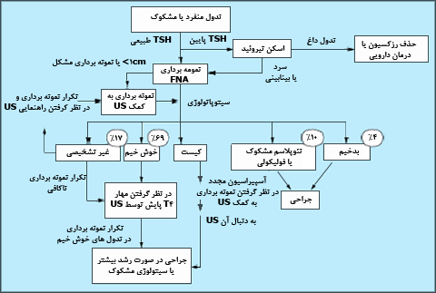 رويکدر بيماران مبتلا به ندول تيروئيدى. استثناءهاى فراوانى در انتخابهاى پيشنهاد شده وجود دارد. حدود يک سوم کيستيک يا ترکيب جامد - کيست هستند. US = سونوگرافي</pre>