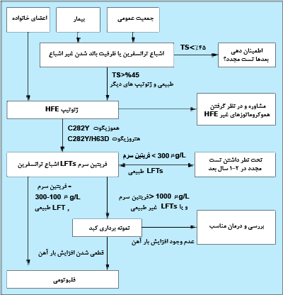 الگوريتم غربالگرى هموکروماتوز ناشى از LFT. HFE = تستهاى عملکرد کبدي، TS = اشباع ترانسفرين.