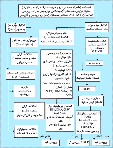 ارزیابی بیمار مبتلا به زردی. ERCP = کلانژیوپانکرات.گرافی رتروگراد آندوسکوپیک. CT = توموگرافی کامپیوتری. ALT =آلانین آمینوترانسفراز. AST = آسپارتات آمینوترانسفراز. SMA = آنتی بادی عضله صاف. AMA = آنتی بادی ضد میتوکندری. LKM = آنتی بادی میکروزومی کبد-کلیه. SPEP = الکتروفورز پروتئین های سرم. CMV = سیتومگالوویروس. EBV = ویروس اپشتاین بار.