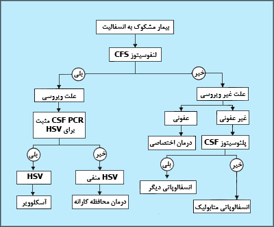 رويکرد مربوط به بيمار مشکوک به آنسفاليت. HSV = ويروس هپرس سيمپلکس