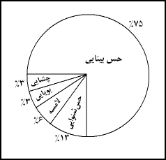 يک نمودار دايرهاى براى مشخصکردن ميزان يادگيرى افراد ازطريق حواس مختلف