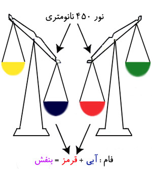 نظریهٔ فرآیندهای متضاد.