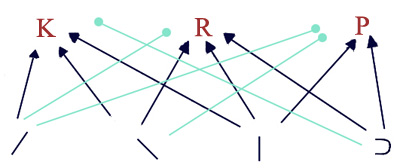 یک شبکهٔ گسترده. این شبکه علاوه بر پیوندهای تحریکی شامل پیوندهای بازدارنده بین ویژگی‌ها و حروفی است که دارای این ویژگی‌ها نیستند.
