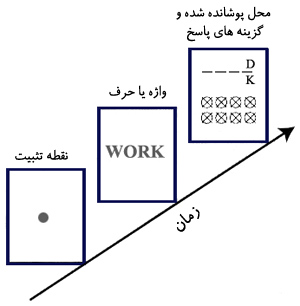 ادراک حروف و واژه‌ها.
