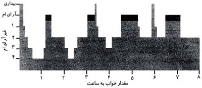 توالی مرحلههای خواب.