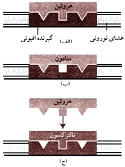 دارودرمانی سوء مصرف دارو.
