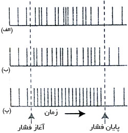 رمزگردانی شدت محرک