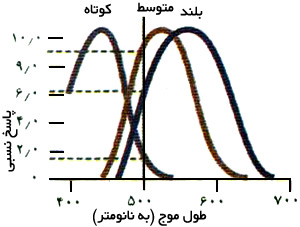 نظریهٔ سهفامی