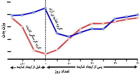 وزن بدن و هیپوتالاموس جانبی.