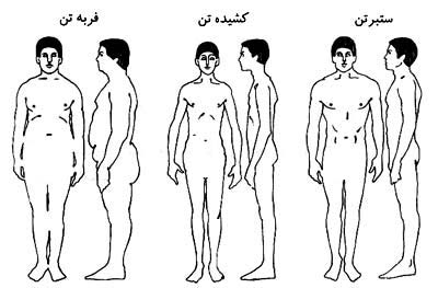 سنخ‌های بدنی و شخصیت
