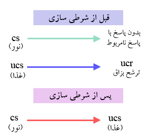 نمودار شرطیسازی کلاسیک.