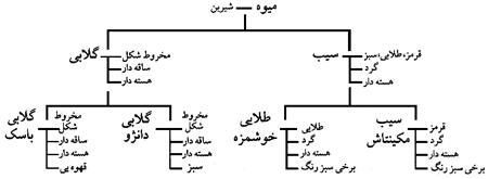 سلسله مراتب مفهومها. نام مفهومها با حروف سیاه و نام ویژگیها با حروف نازک نوشته شده است. رابطهٔ بین مفهومها با خطوط سیاه و رابطهٔ بین مفهومها و ویژگیها با خطوط نازک نشان داده شده است.