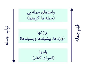 سطوح فهم و تولید جملهها. هنگام تولید جمله، اندیشهٔ گزارهای را به گروهها و واژکهای جمله، و اینها را نیز به واجها تبدیل میکنیم. عکس این فرآیند بههنگام فهم معنی جمله روی میدهد: واجها را به واژکها و گروههای جملهای تبدیل میکنیم و با استفاده از اینها نیز گزارهها را مشخص میکنیم.