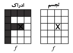 تجسم و ادراک.