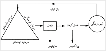 توضيح و تفسير تصويرى برخى از روابط نظريه بورديو