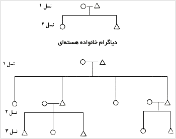 دياگرام خانواده هستهاى-دياگرام خانواده گسترده