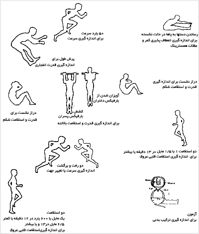 عناصر و اجزا براى برگهٔ آمادگى جسماني
