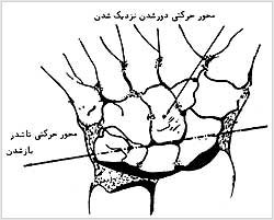 محورهاى حرکتى مفصل مچ دست