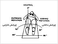 چرخش داخلى و خارجى ران