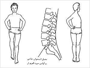 حرکت‌هاى لگن حول محور‌هاى حرکتى ورتيکال (راست) و ساجيتال (چپ)


