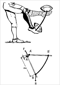 نمونه‌اى از کاربرد اهرم براى افزايش سرعت در حرکت ساق پا

