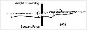 نيروى شناورى مساوى وزن آب جابجا شده مى‌باشد.

