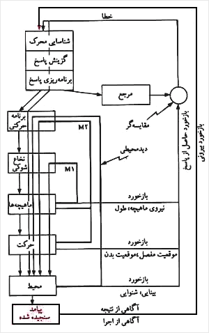 مدل مفهومى اجراء انساني. بازخورد بيروني، يعنى حلقهاى که از نتيجهٔ اندازهگيرى شده تا سيستم تصميمگيرنده کشيده شده، به نمودار اضافه شده است تا آن را تکميل کند