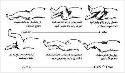 حرکت تصادفى لگدزدن نوزاد داراى چهار مرحله است: از حالت باز به حالت خميده؛
مکث؛ از حالت خميده به حالت باز؛ مرحلهٔ زمانى بين دو بار لگدزدن اين مراحل شبيه راه
رفتن بزرگسالان است