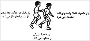 حرکت پاى لىلى کننده در اين تصوير، در مرحلهٔ ۴ قرار دارد؛ زيرا دامنهٔ حرکت پاى متحرک او به قدرى است که براى بردن کامل آن پشت پاى اتکاء کافى است. هر دو دست در جهت حرکت پاى مخالف حرکت مىکنند (برگرفته از فيلمهاى موجود در آزمايشگاه رشد حرکتى و مطالعهٔ کودک دانشگاه ويسکانسين - مديسون).