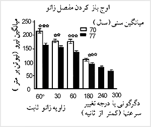 تغييرات قدرت با افزايش سن. ميانگين نيرو (برحسب نيوتن بر متر) که در يک وضعيت ثابت در مفصل زانو و با سرعت مختلف انجام شده است. قدرت باز شدن مفصل ران در ۲۳ مرد در يک دورهٔ ۷ ساله رو به کاهش رفته است. اين تغييرات در سطوح مختلف ۰۱/۰ >p، (٭٭) و ۰۱/۰ >p، (***) از نظر آمارى معنى‌دار بودند.

