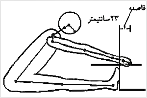 آزمون انعطافپذيري. آزمودنى پس از نشستن و گذاردن پاهاى خود به بدنهٔ يک جعبهٔ چوبي، به جلو خم شده، سعى مىکند تا آنجا که ممکن است مفصل لگن خاصره را خم کند. امتياز او ۲۳ سانتىمتر بهاضافه يا منهاى مسافتى است که بهترتيب روى جعبه با دست لمس مىکند .