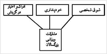 عوامل به هم مرتبط و سه‌گانه که مى‌توانند بر سطح مشارکت ورزشى بزرگسالان اثر بگذارند 