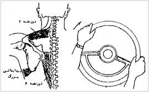 چرخش بالايى کتف توسط عضلهٔ ذوزنقه بخش ۲ و ۴ و الياف تحتانى عضله دندانه‌اى قدامى

