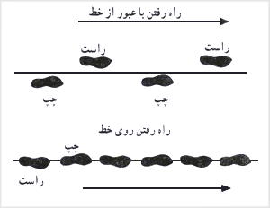  پياده‌روى روى خط