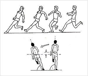 
    دورخيز - گام‌هاى آخر
    